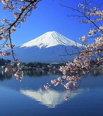 AI sample beautiful-cherry-blossoms-with-mount-photo-by-prasit-chansareekorn